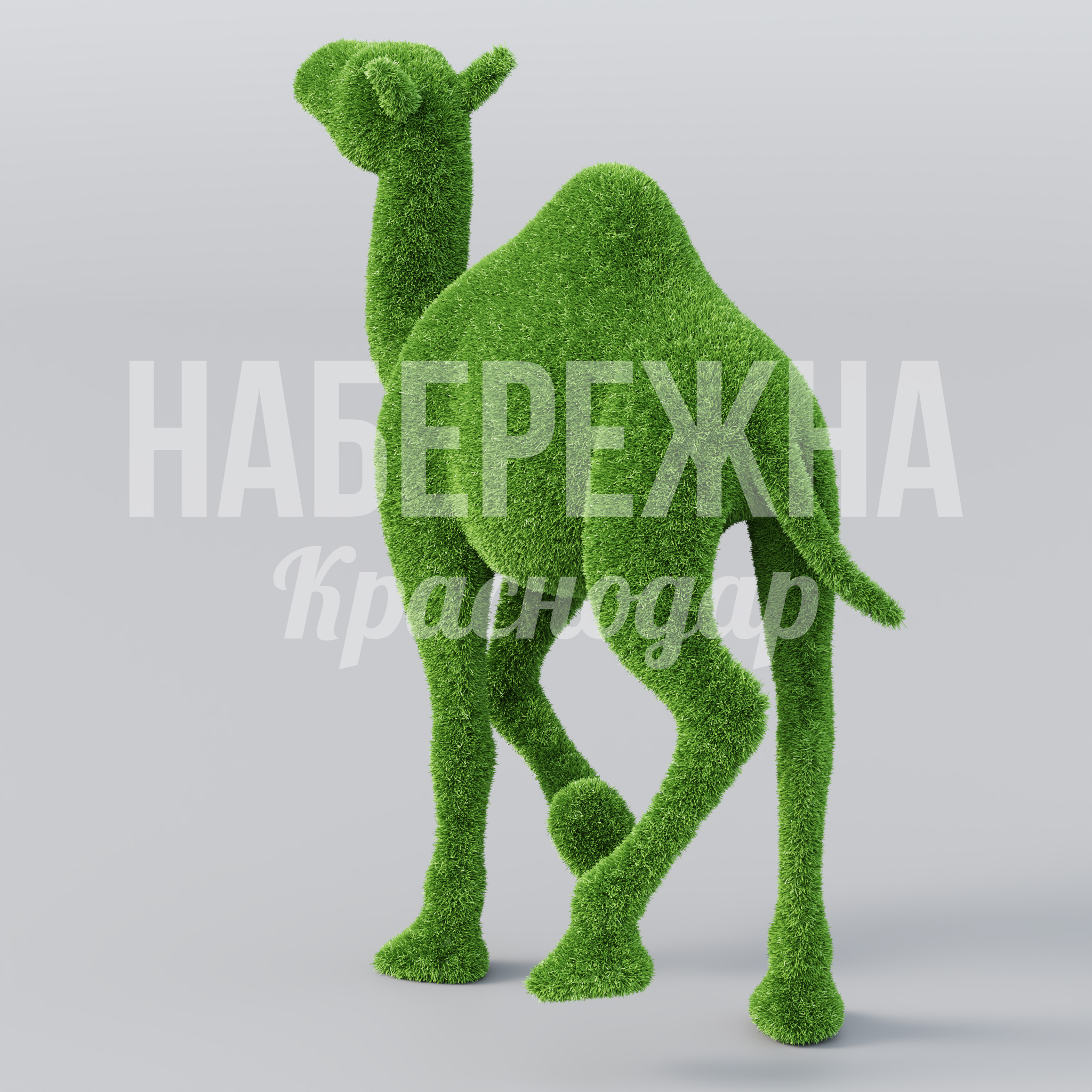 Верблюд Humni - заказать, Животные, Искусственная трава