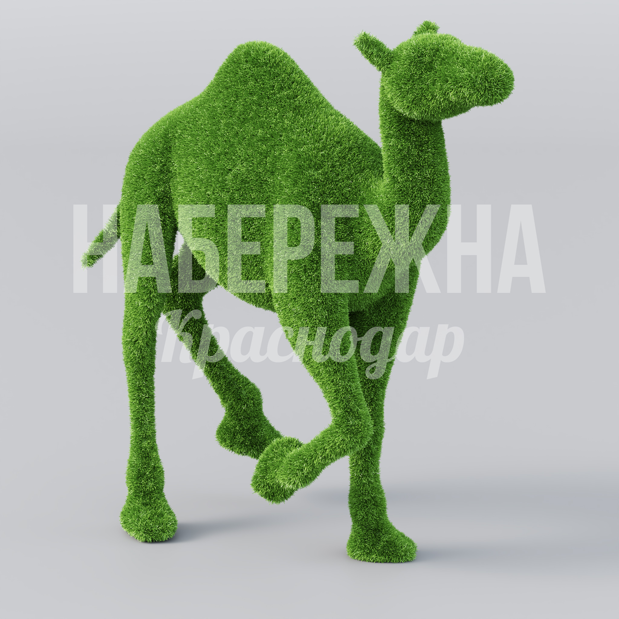 Верблюд Humni 700x1600x1700 мм. TOP-21.035 Топиарная фигура верблюда из травы для парков и зон отдыха. Привлекает внимание, создаёт точку притяжения.
