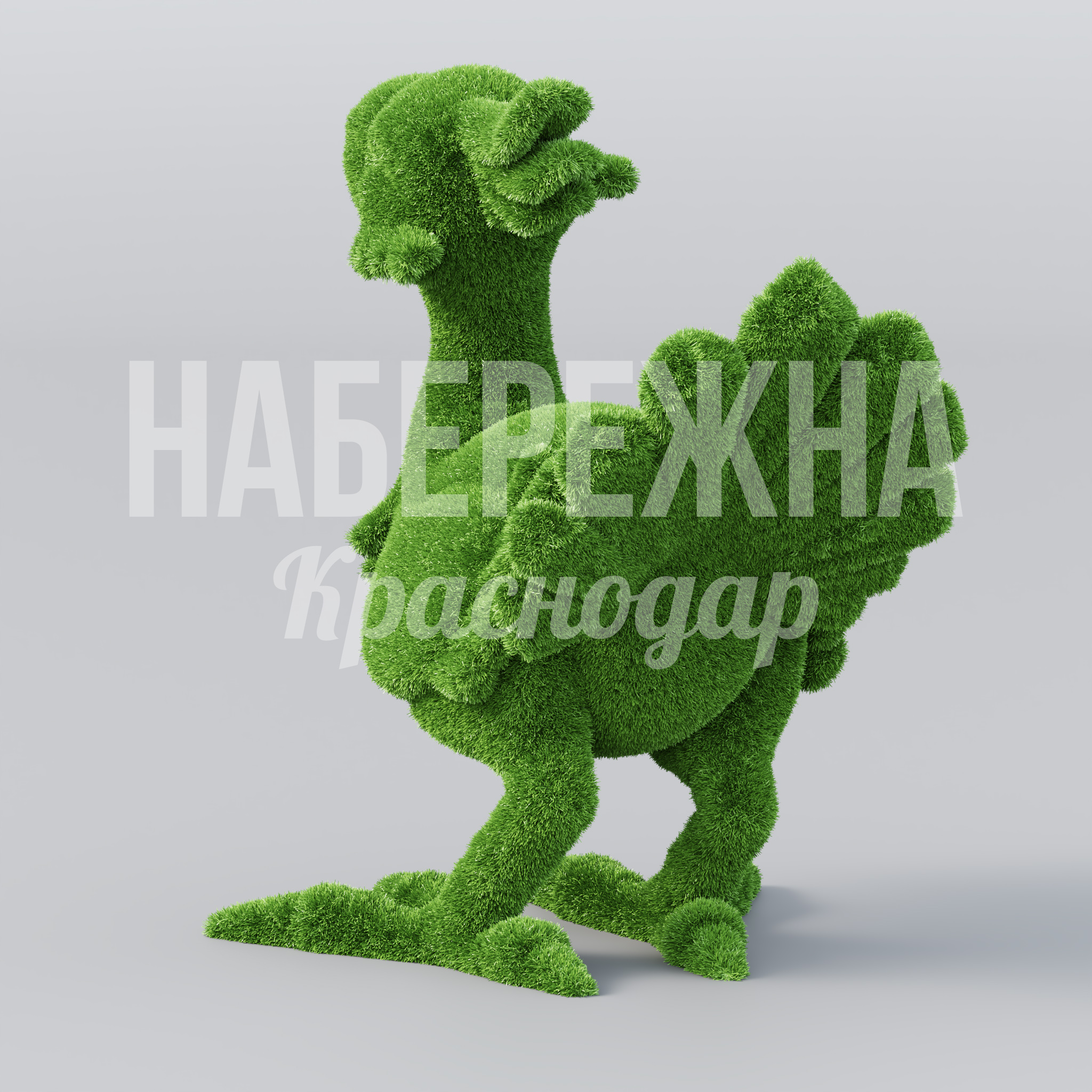 Птица Choco - заказать, Птицы, Искусственная трава