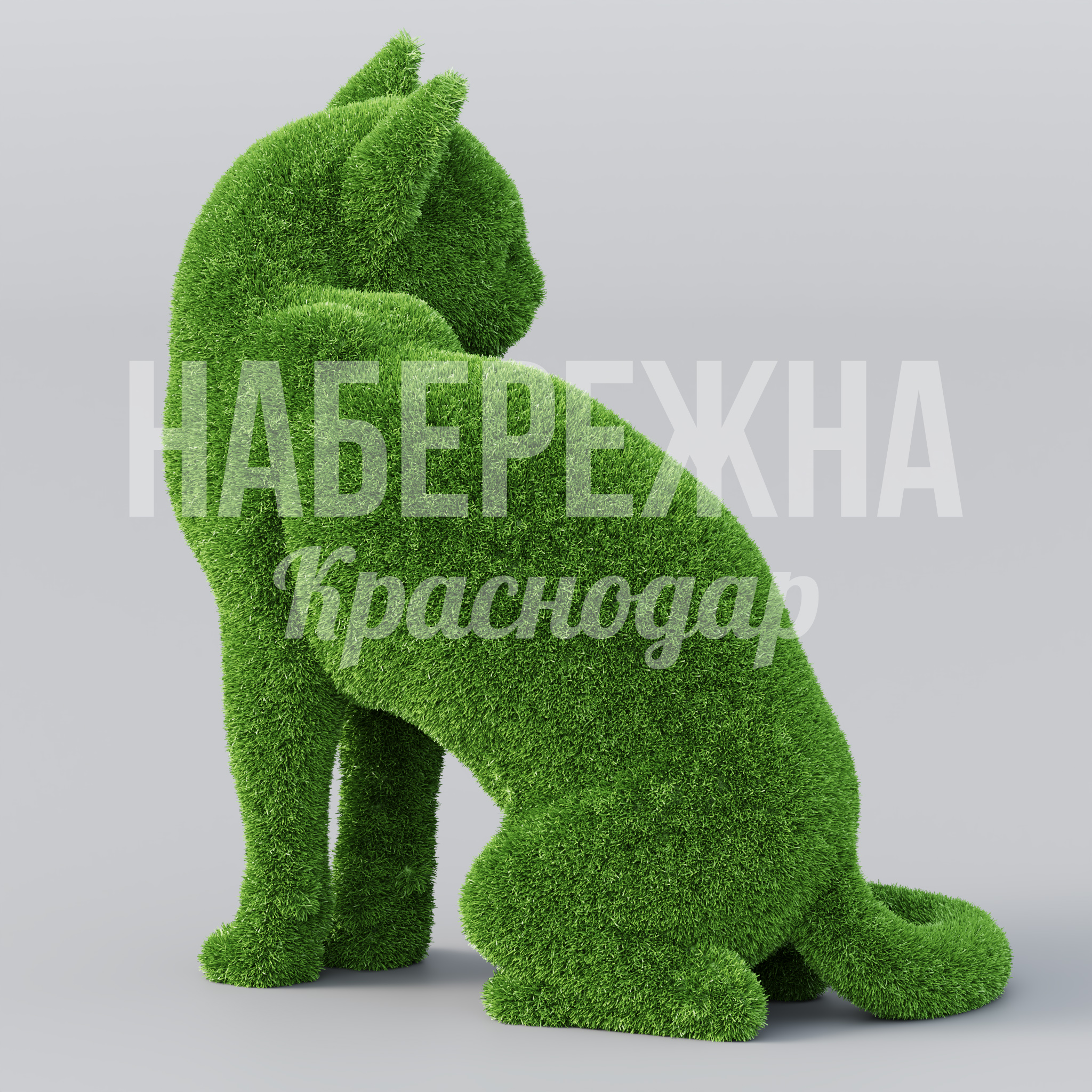 Кот Maev - заказать, Животные, Искусственная трава
