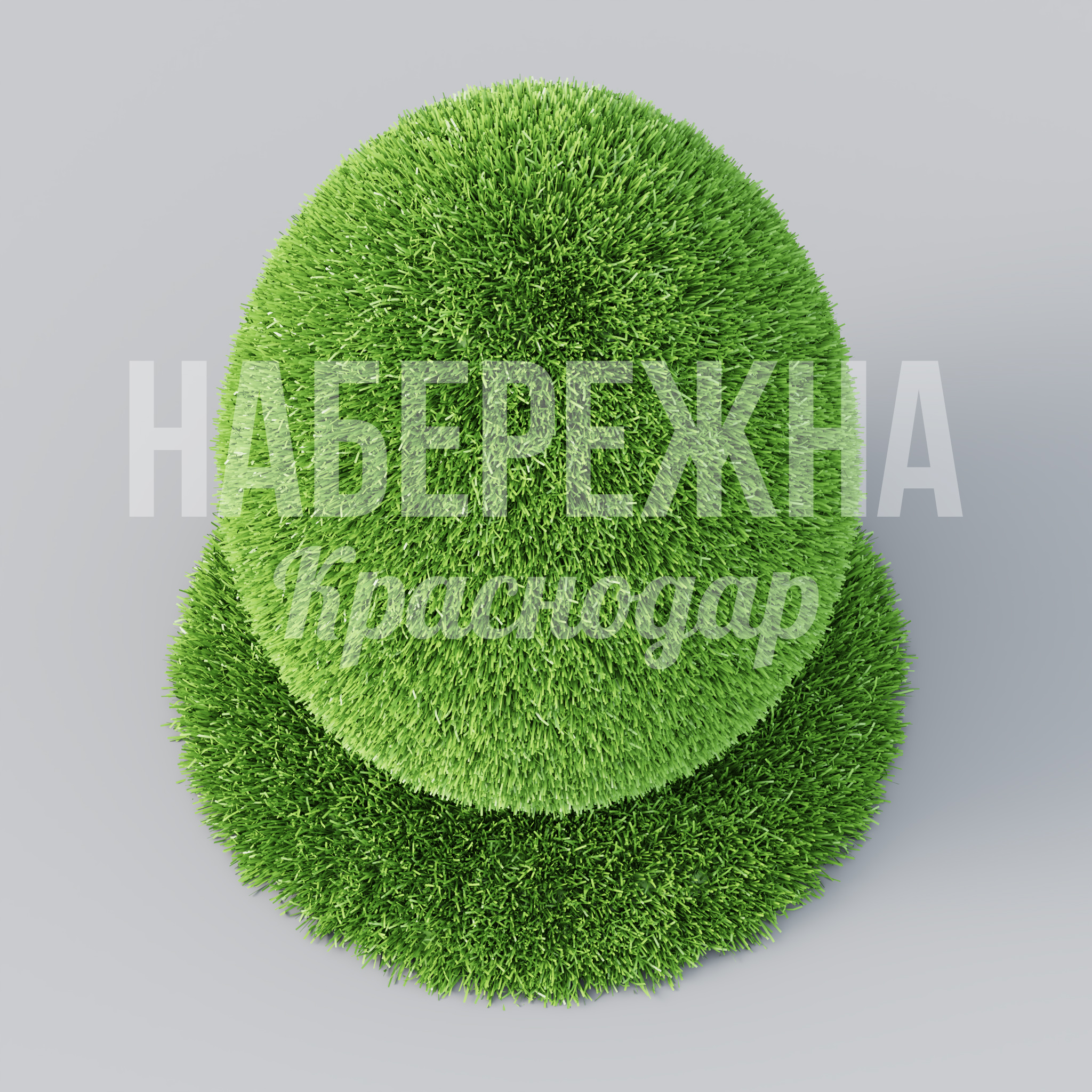 Яицо Caace - заказать, Птицы, Искусственная трава
