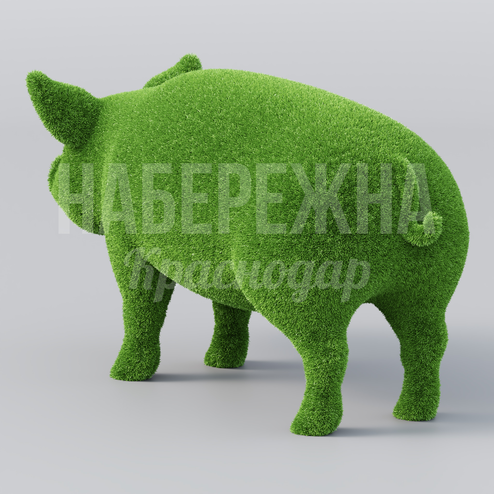 Свинья Tubfa - заказать, Животные, Искусственная трава