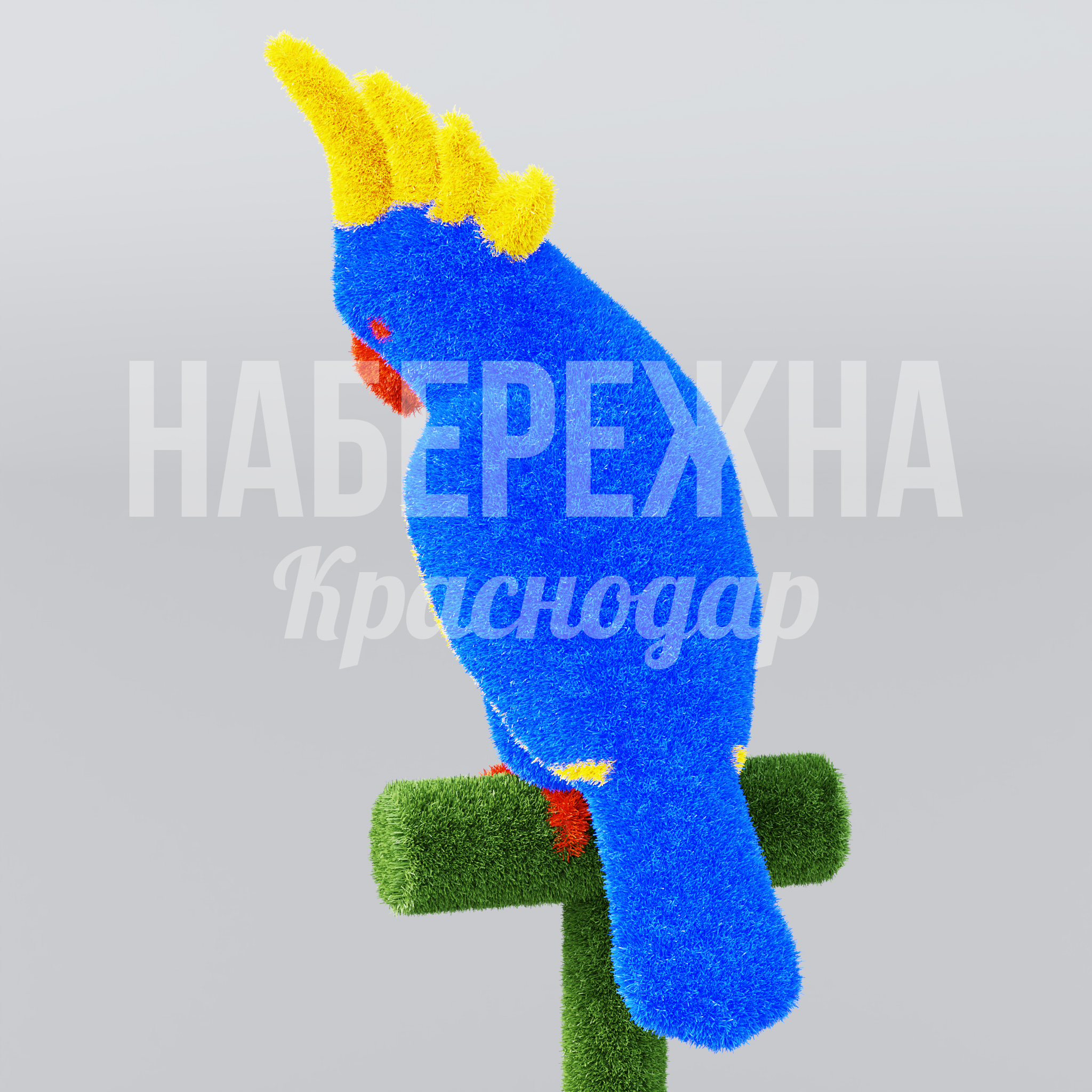 Попугай Öifsom - заказать, Птицы, Искусственная трава
