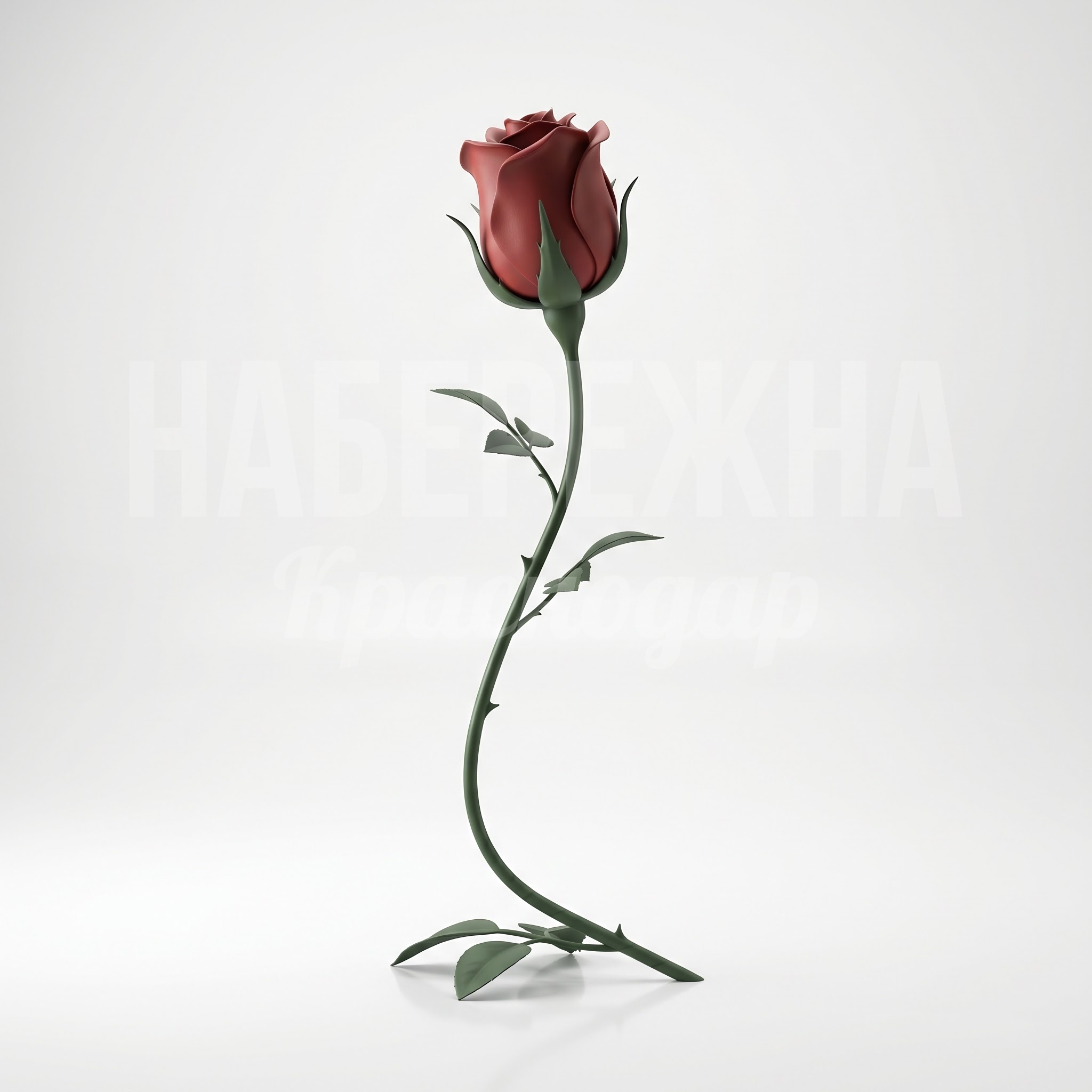 Роза в бутоне Eefce